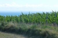 Sark - Wanderung zu Little Sark