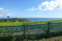 Sark - Wanderung zu Little Sark