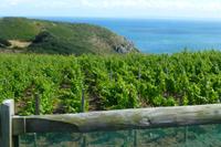 Sark - Wanderung zu Little Sark