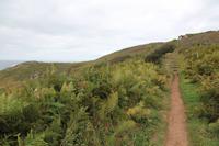 Wanderung zum Devils Hole Nordküste Jersey