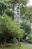 Glocken St. Luke's Kirche Howard Davis Park