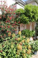 Wohnhaus von Mrs. Lee