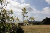 Blick auf die Bucht von St. Aubin
