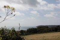 Blick auf die Bucht von St. Aubin