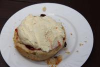 Scones mit Marmelade und Jersey-Schlagsahne 