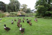 Im Park von Samares Manor 