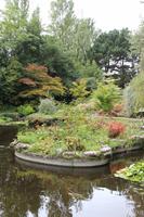 Im Japanischen Garten in Samares Manor 