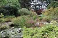 Im Japanischen Garten in Samares Manor 