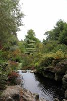 Im Japanischen Garten in Samares Manor 