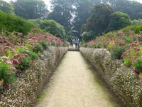 Sark - La Seigneurie Gardens