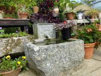 Sark - La Seigneurie Gardens