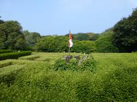 Sark - La Seigneurie Gardens