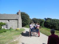 fröhliche Kutschfahrt