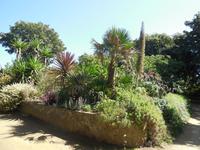 Gartenpracht in Sark