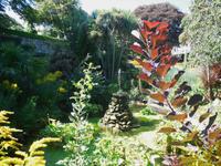 Brunnen in St. Peter Port