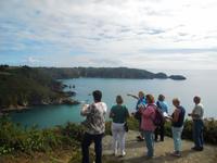 Buchten am Icart Point