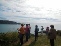 Wanderugruppe am Icart Point