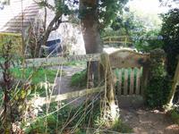 verstecktes Cottage im Wald