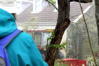 Auf der Insel Sark, nur der Doktor darf ein Fahrzeug haben, aber auch kein Auto, sondern einen Traktor