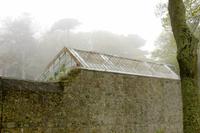 Auf der Insel Sark, La Seigneurie Garten