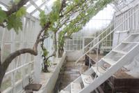 Auf der Insel Sark, La Seigneurie Garten