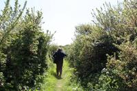 Auf der Insel Sark während einer kleinen Wanderung zum La Coupee