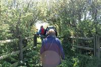 Auf der Insel Sark während einer kleinen Wanderung zum La Coupee