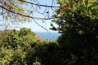 Auf der Insel Sark während einer kleinen Wanderung zum La Coupee