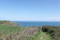 Auf der Insel Sark während einer kleinen Wanderung zum La Coupee