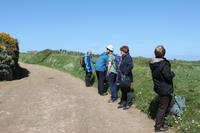 Auf der Insel Sark, La Coupee