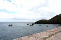 Auf der Insel Sark, der alte Hafen