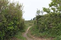 Auf Guernsey, kleine Wanderung zur Saints Bay