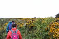 Auf Guernsey, kleine Wanderung zur Saints Bay