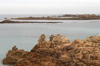 Der Gibbonaffe und das Kamel auf Guernsey