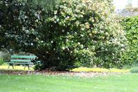 Auf Guernsey, Candie Gardens