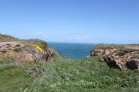 Auf Jersey, bei den Ruinen von Grosnez Castle