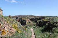 Auf Jersey, bei den Ruinen von Grosnez Castle