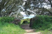 Auf Jersey, Beauport Bay