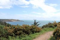 Auf Jersey, Beauport Bay