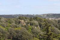 Auf Jersey, Beauport Bay