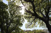 Auf Jersey, St. Brelade