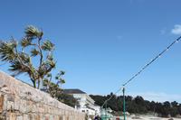 Auf Jersey, St. Brelades Bay