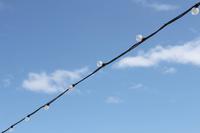 Auf Jersey, St. Brelades Bay