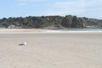 Auf Jersey, St. Brelades Bay