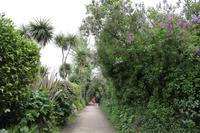 Auf Jersey, Corbiere Walk