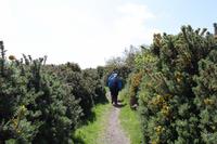 Auf Jersey, während der Wanderung an der Steilküsten im Norden Jerseys