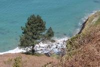 Auf Jersey, an der Nordküste