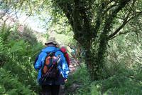 Auf Jersey, während der Wanderung an der Steilküsten im Norden Jerseys