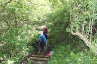 Auf Jersey, während der Wanderung an der Steilküsten im Norden Jerseys