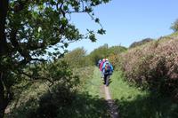 Auf Jersey, während der Wanderung an der Steilküsten im Norden Jerseys